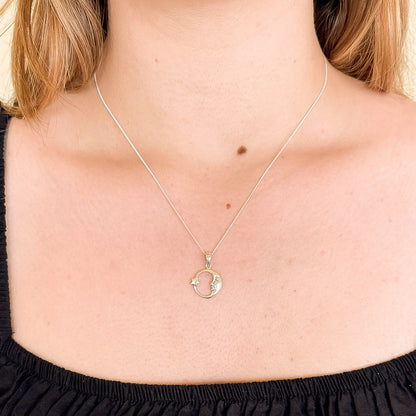 THE MOON & SHOOTING STAR