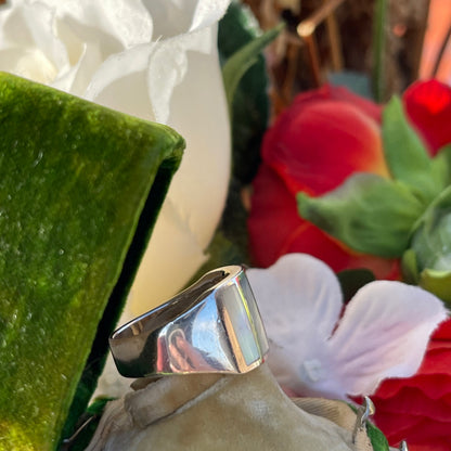 Vintage Sterling Silver Mother Of Pearl Panel Chunky Ring Q