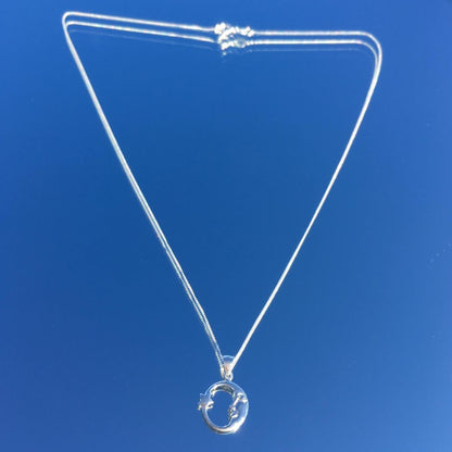 THE MOON & SHOOTING STAR